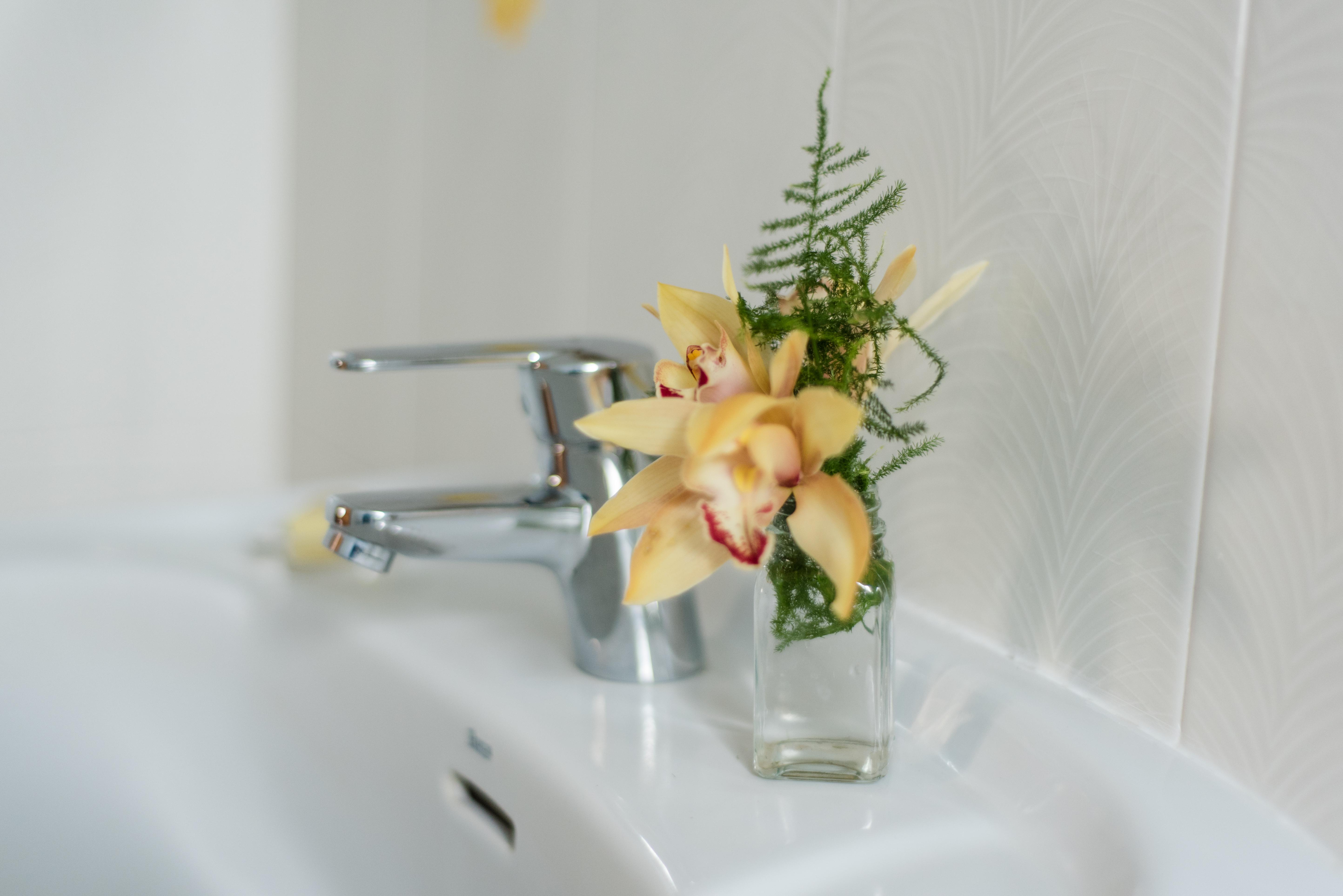Apartamentos Mayoysa Breña Baja المظهر الخارجي الصورة